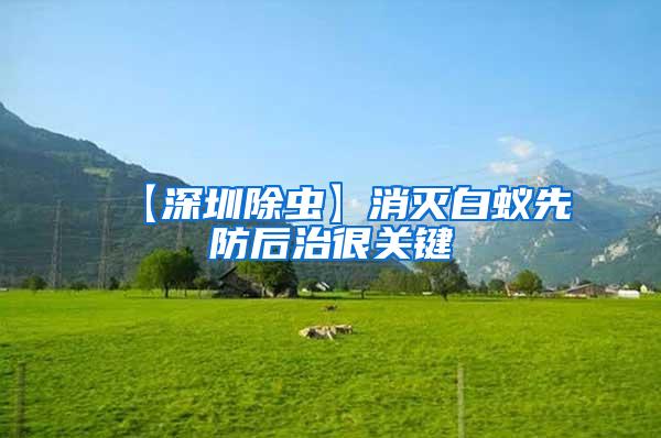 【深圳除蟲】消滅白蟻先防后治很關(guān)鍵