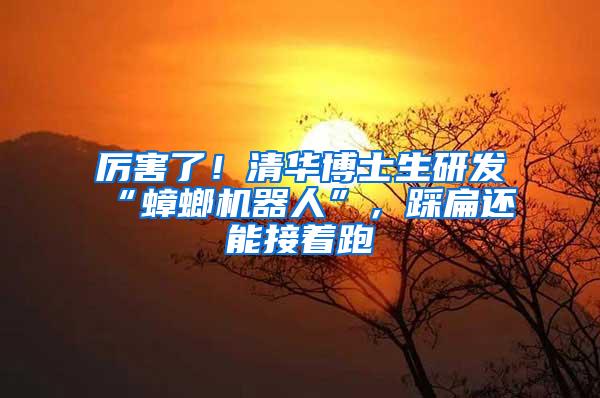 厲害了！清華博士生研發(fā)“蟑螂機(jī)器人”，踩扁還能接著跑