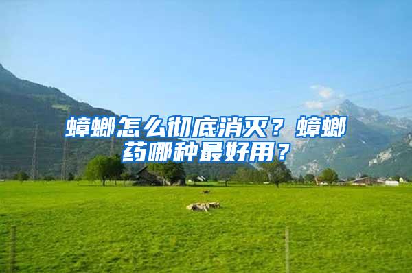 蟑螂怎么徹底消滅？蟑螂藥哪種最好用？