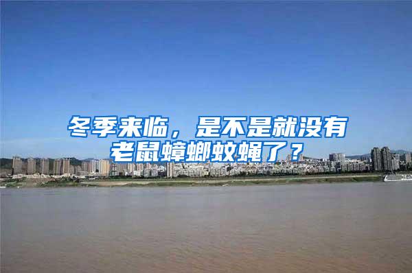 冬季來(lái)臨，是不是就沒(méi)有老鼠蟑螂蚊蠅了？