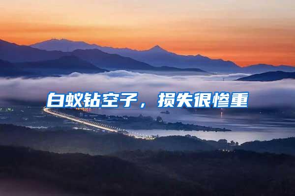 白蟻鉆空子，損失很慘重