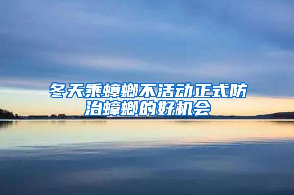 冬天乘蟑螂不活動(dòng)正式防治蟑螂的好機(jī)會(huì)