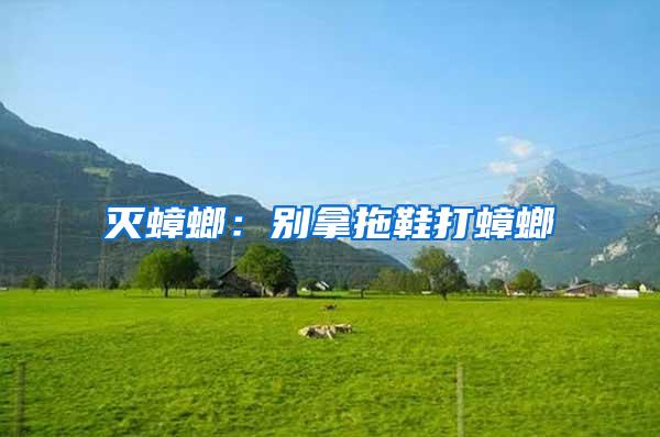 滅蟑螂:別拿拖鞋打蟑螂