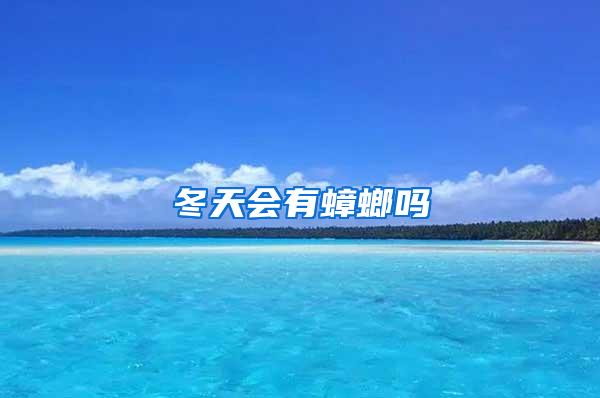 冬天會(huì)有蟑螂嗎