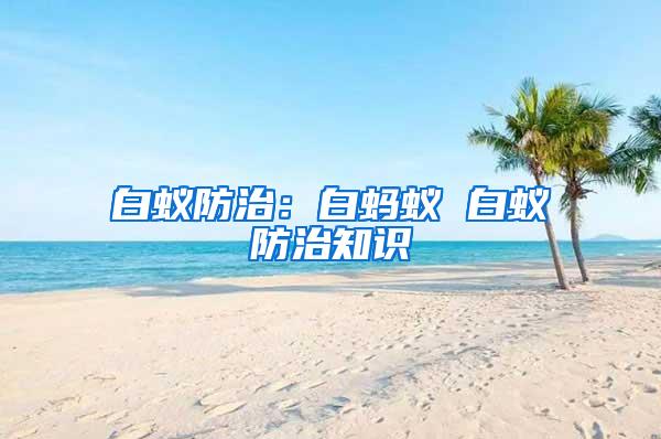 白蟻防治:白螞蟻 白蟻防治知識
