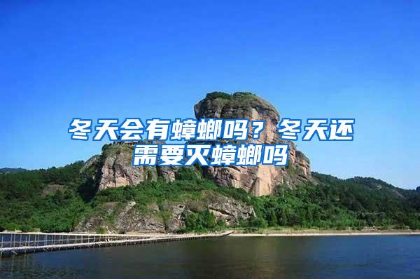 冬天會有蟑螂嗎？冬天還需要滅蟑螂嗎