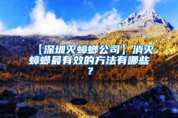 【深圳滅蟑螂公司】消滅蟑螂最有效的方法有哪些？