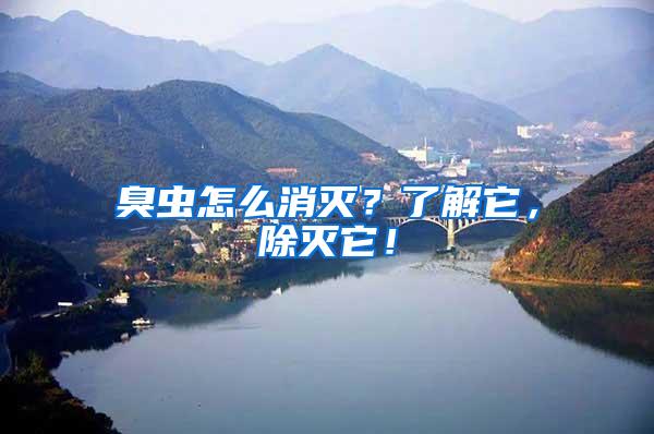 臭蟲怎么消滅？了解它，除滅它！