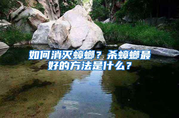 如何消滅蟑螂?殺蟑螂最好的方法是什么?