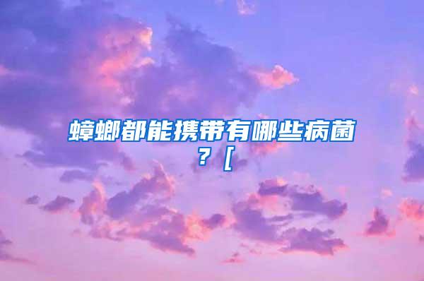 蟑螂都能攜帶有哪些病菌？[