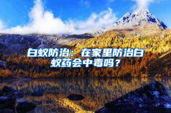 白蟻防治:在家里防治白蟻藥會中毒嗎?