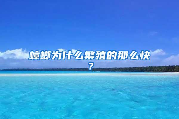 蟑螂為什么繁殖的那么快？