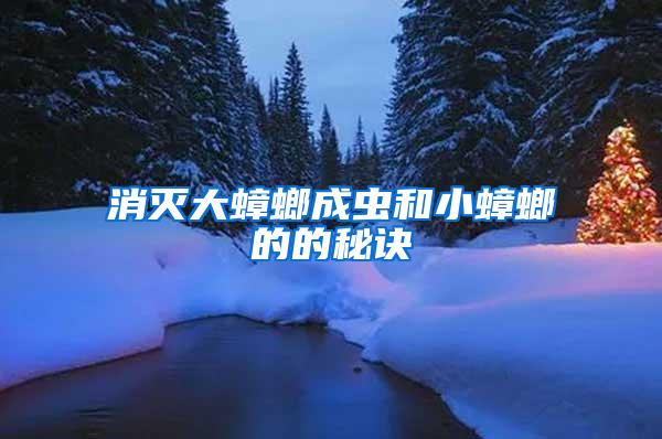 消滅大蟑螂成蟲(chóng)和小蟑螂的的秘訣