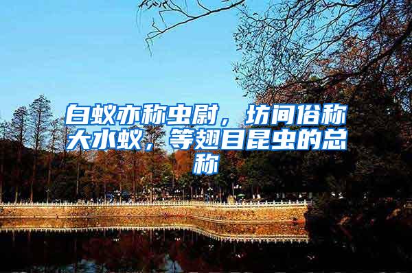 白蟻亦稱蟲尉，坊間俗稱大水蟻，等翅目昆蟲的總稱