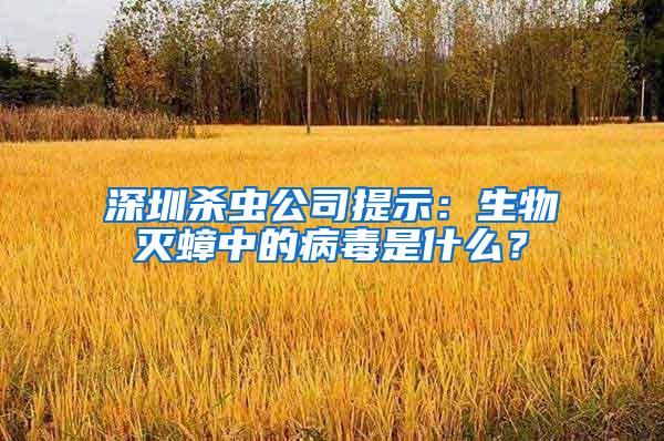 深圳殺蟲公司提示：生物滅蟑中的病毒是什么？