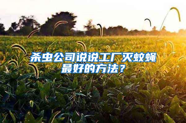 殺蟲公司說說工廠滅蚊蠅最好的方法？