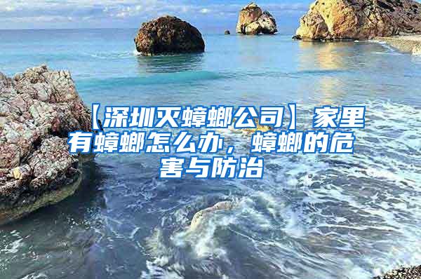 【深圳滅蟑螂公司】家里有蟑螂怎么辦,蟑螂的危害與防治