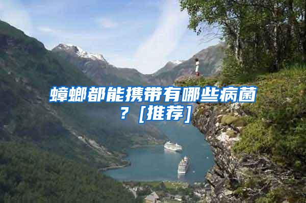 蟑螂都能攜帶有哪些病菌？[推薦]