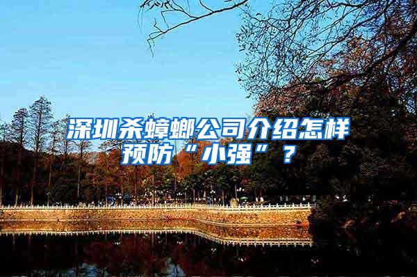 深圳殺蟑螂公司介紹怎樣預(yù)防“小強”？