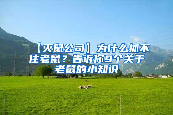 【滅鼠公司】為什么抓不住老鼠？告訴你9個(gè)關(guān)于老鼠的小知識(shí)