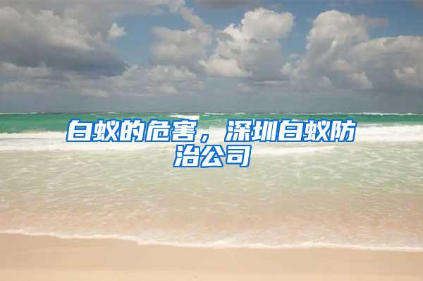 白蟻的危害,深圳白蟻防治公司