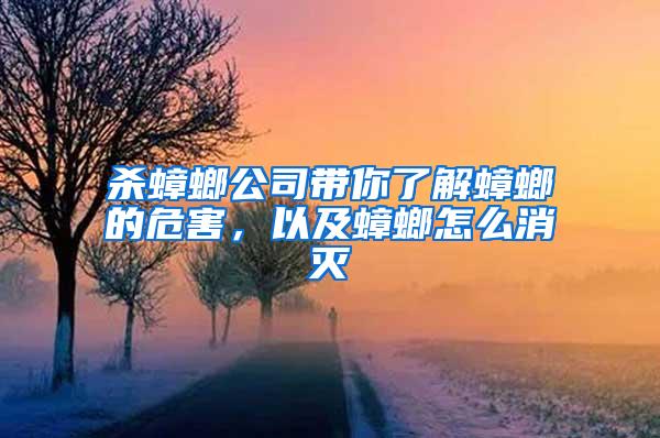 殺蟑螂公司帶你了解蟑螂的危害，以及蟑螂怎么消滅