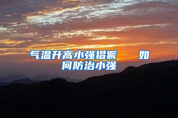 氣溫升高小強(qiáng)猖獗   如何防治小強(qiáng)