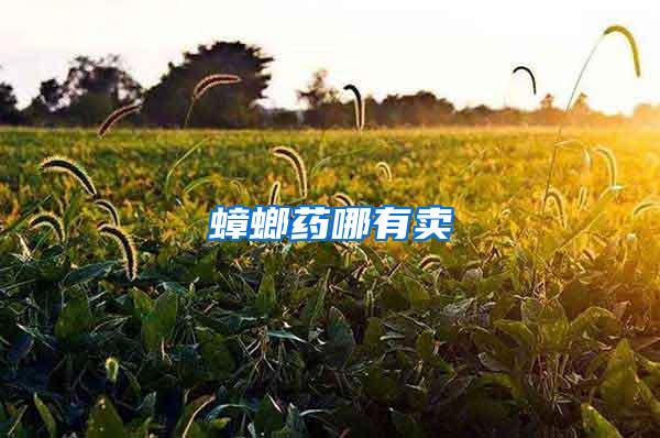 蟑螂藥哪有賣