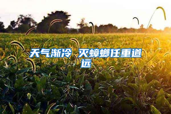 天氣漸冷 滅蟑螂任重道遠(yuǎn)
