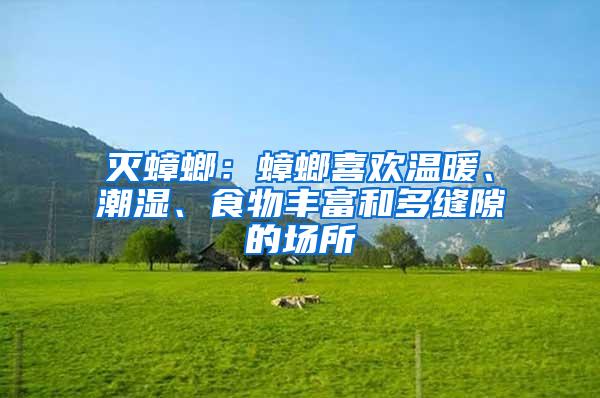 滅蟑螂：蟑螂喜歡溫暖、潮濕、食物豐富和多縫隙的場所