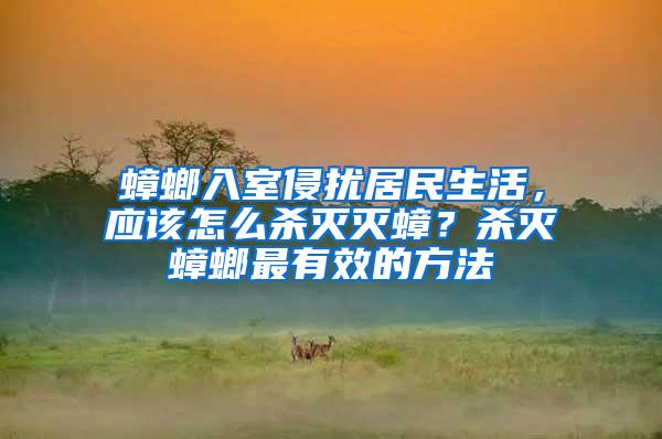蟑螂入室侵?jǐn)_居民生活，應(yīng)該怎么殺滅滅蟑？殺滅蟑螂最有效的方法