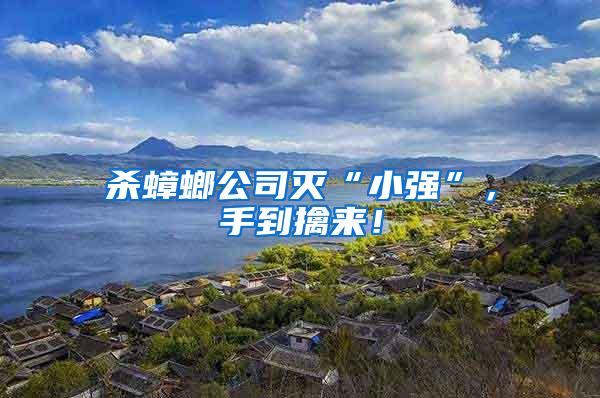 殺蟑螂公司滅“小強(qiáng)”，手到擒來(lái)！