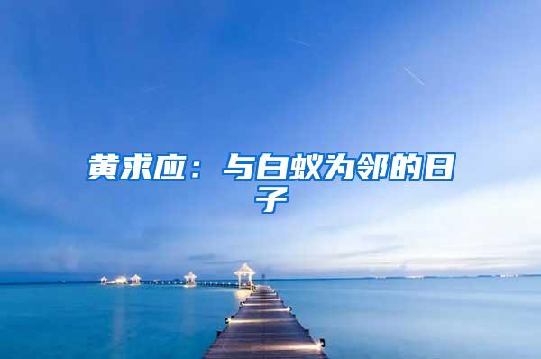 黃求應(yīng):與白蟻為鄰的日子