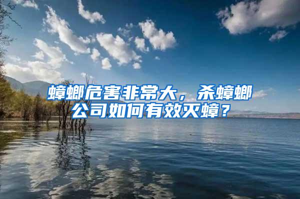 蟑螂危害非常大，殺蟑螂公司如何有效滅蟑？
