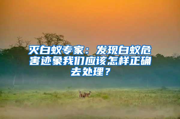 滅白蟻專家:發(fā)現(xiàn)白蟻危害跡象我們應(yīng)該怎樣正確去處理?