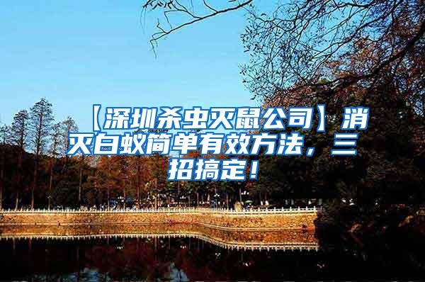 【深圳殺蟲(chóng)滅鼠公司】消滅白蟻簡(jiǎn)單有效方法，三招搞定！