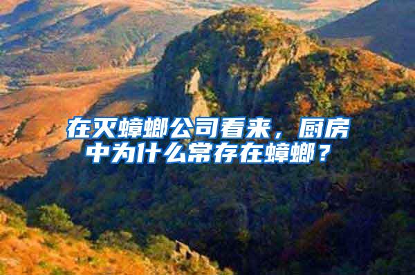 在滅蟑螂公司看來(lái)，廚房中為什么常存在蟑螂？