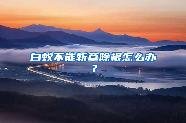 白蟻不能斬草除根怎么辦?