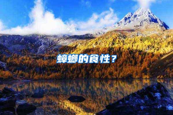 蟑螂的食性？
