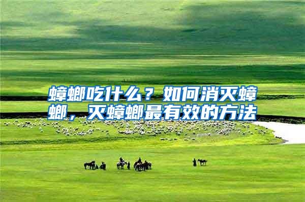 蟑螂吃什么？如何消滅蟑螂，滅蟑螂最有效的方法