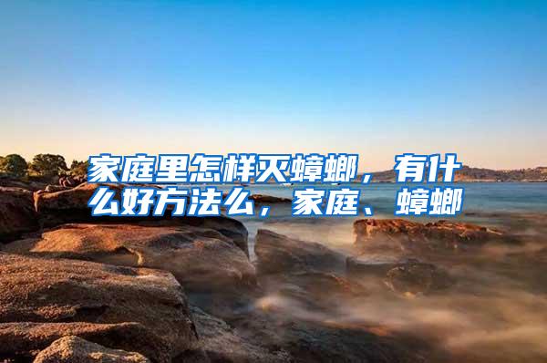 家庭里怎樣滅蟑螂，有什么好方法么，家庭、蟑螂
