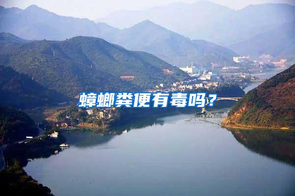 蟑螂糞便有毒嗎？