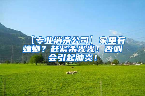 【專業(yè)消殺公司】家里有蟑螂？趕緊殺光光！否則會引起肺炎！