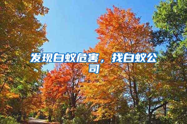 發(fā)現(xiàn)白蟻危害,找白蟻公司