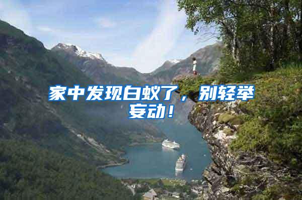 家中發(fā)現(xiàn)白蟻了，別輕舉妄動(dòng)！