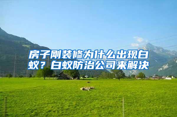 房子剛裝修為什么出現(xiàn)白蟻?白蟻防治公司來解決
