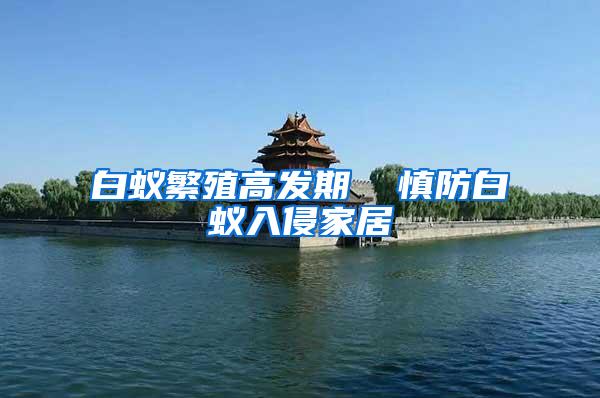 白蟻繁殖高發(fā)期 慎防白蟻入侵家居