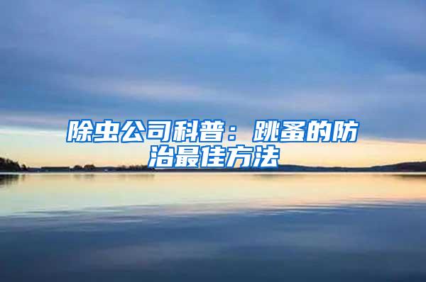 除蟲公司科普:跳蚤的防治最佳方法