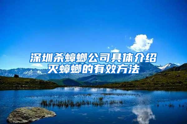 深圳殺蟑螂公司具體介紹滅蟑螂的有效方法
