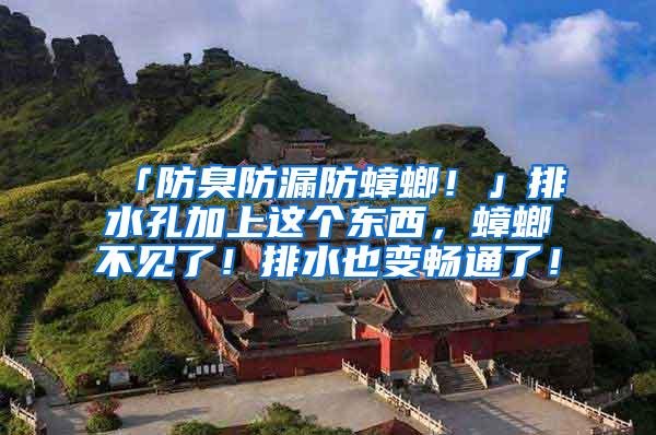 「防臭防漏防蟑螂！」排水孔加上這個東西，蟑螂不見了！排水也變暢通了！
